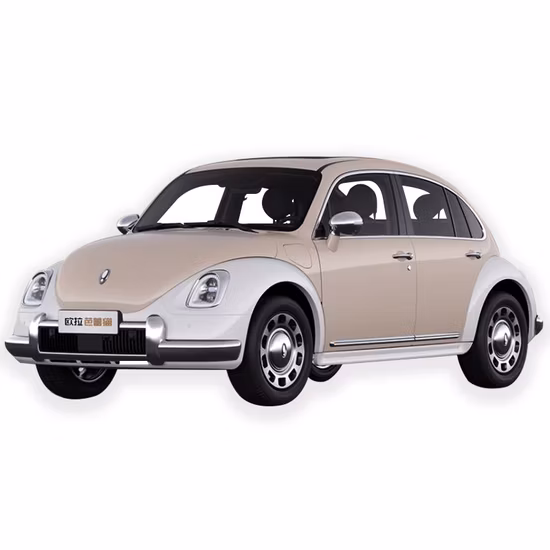 Mini auto elettrica ad alta velocità per auto elettrica a 4 ruote e 2 posti di alta qualità per adulti